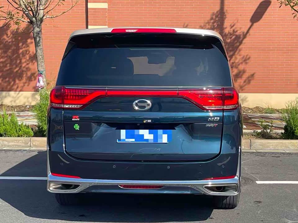 Trumpchi Trumpchi M8