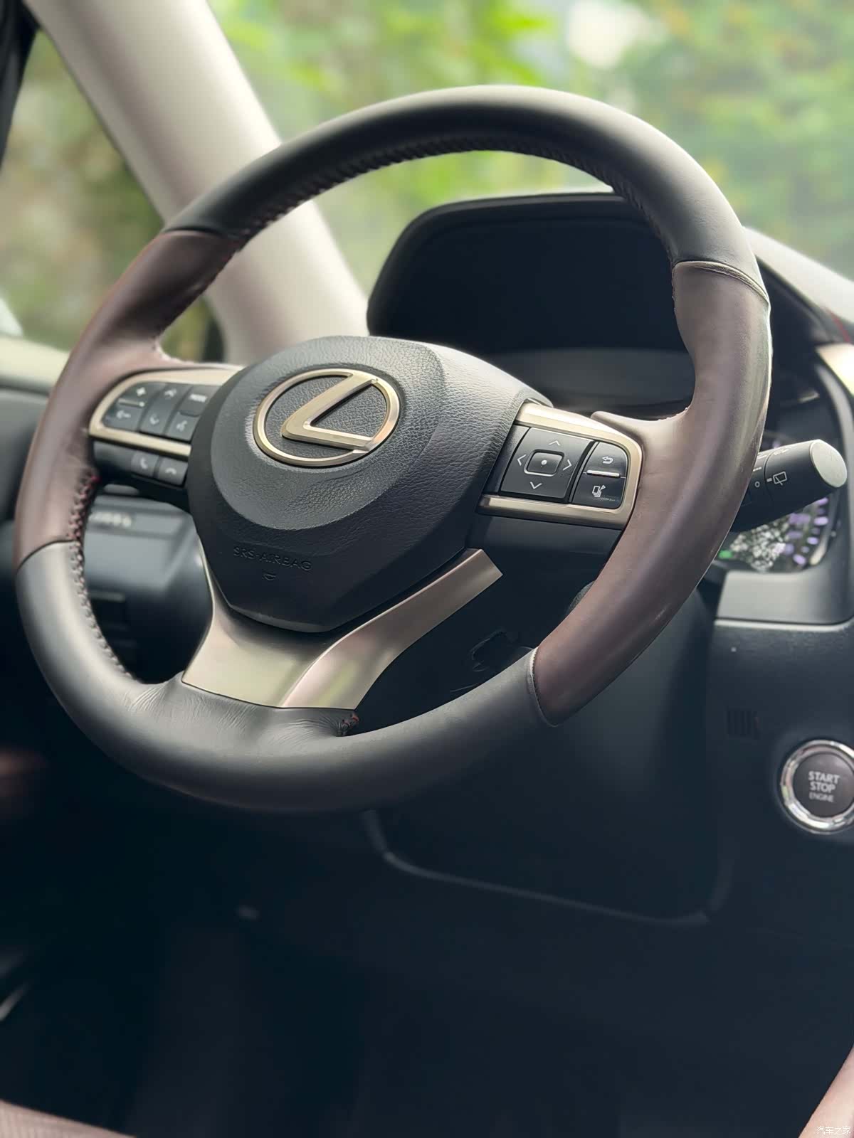 Lexus RX, 2017 10