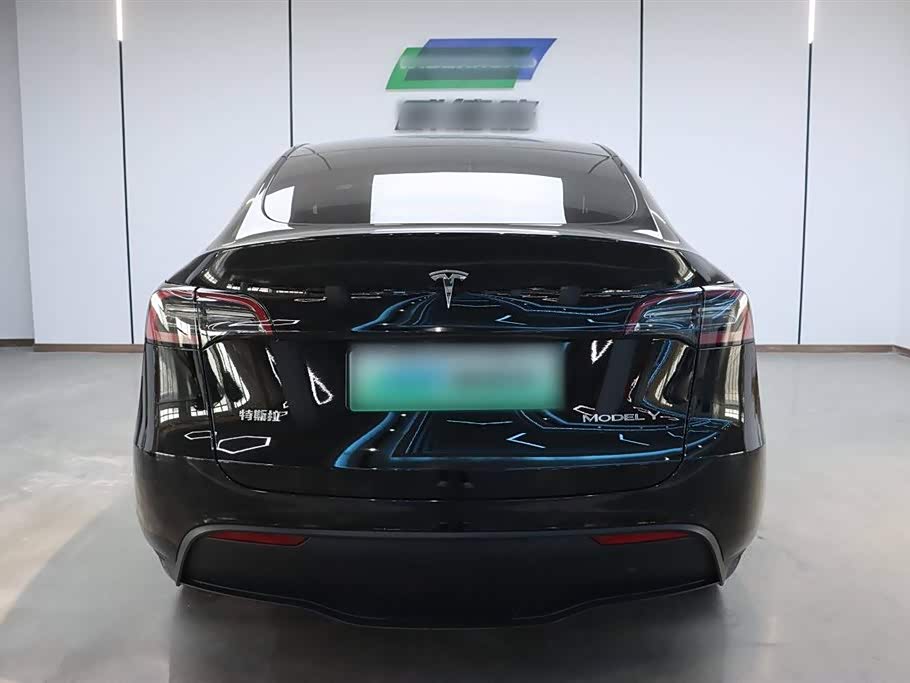 Tesla Model Y Tesla Model Y