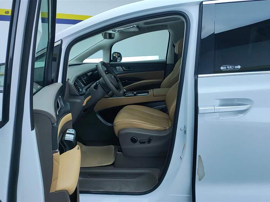 Denza D9