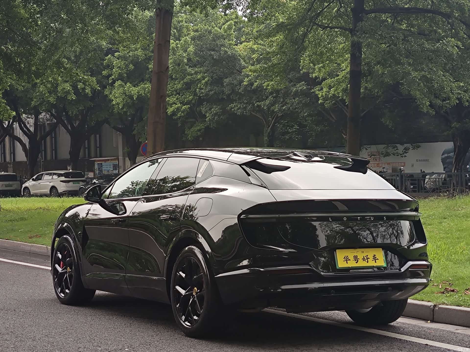 Lotus FOR, 2026 4