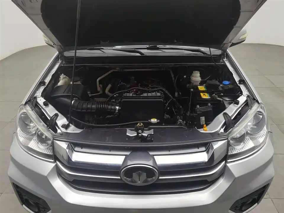 Great Wall Fengjun 5