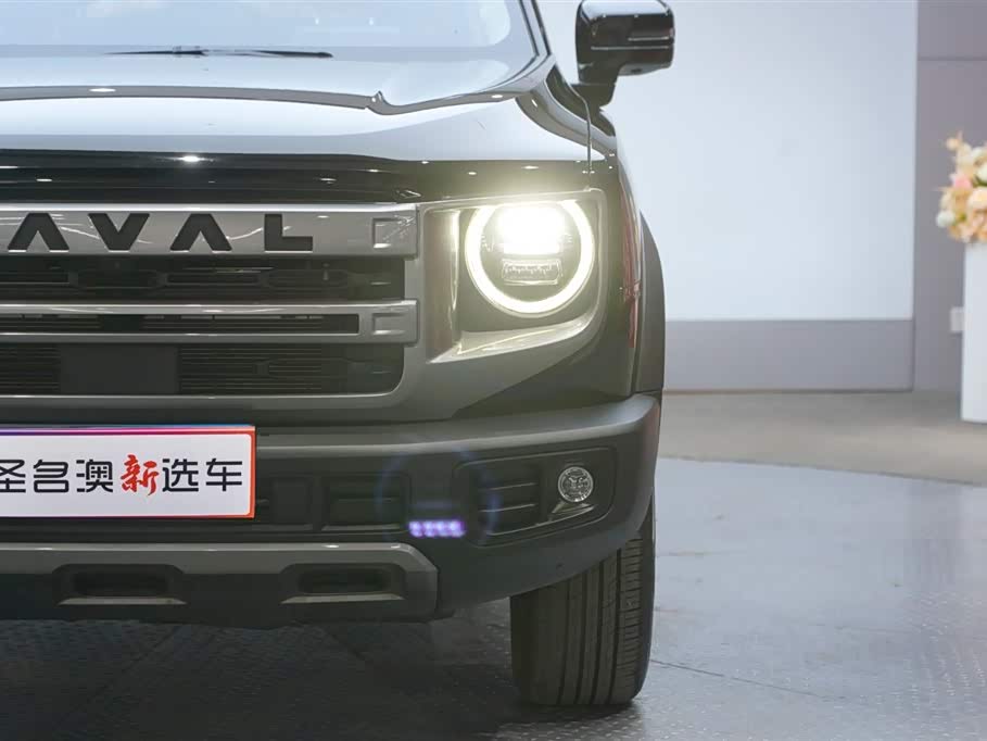Haval Big dog