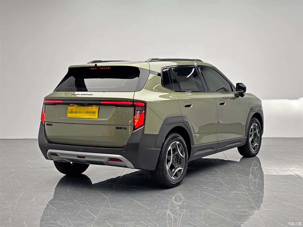 DongFeng 06, 2025 6