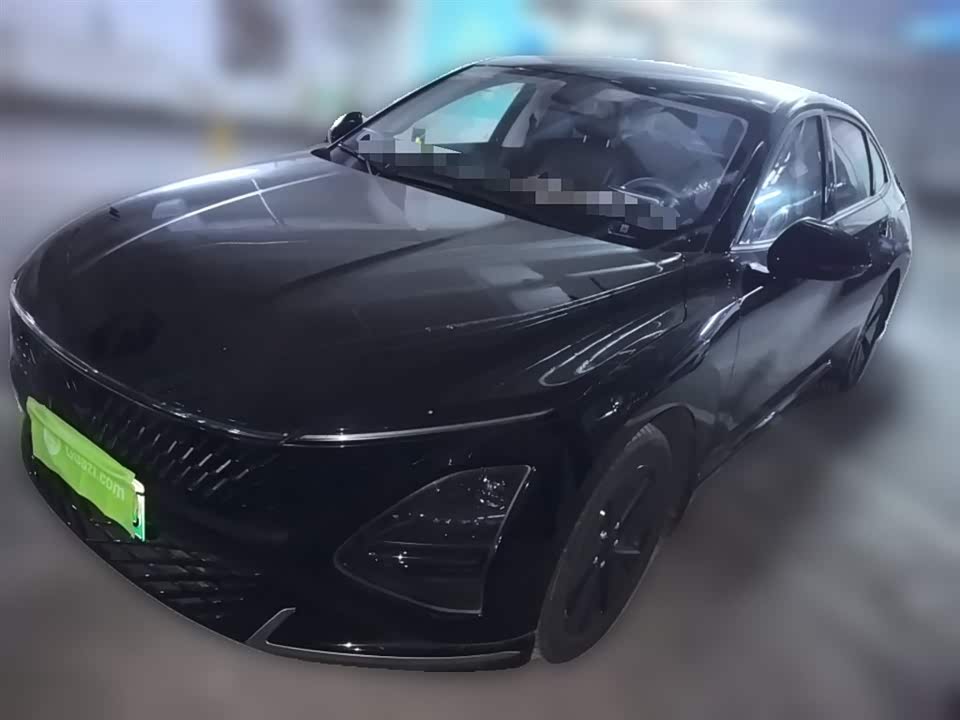 Wuling Wuling Starlight