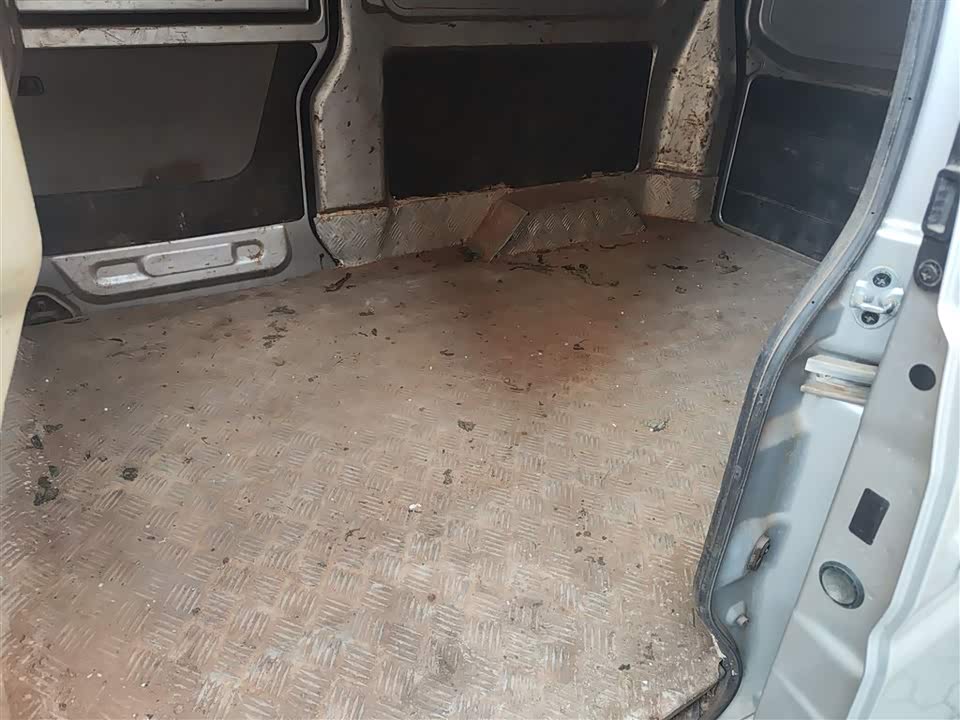 Jinbei Little Sea Lion X30