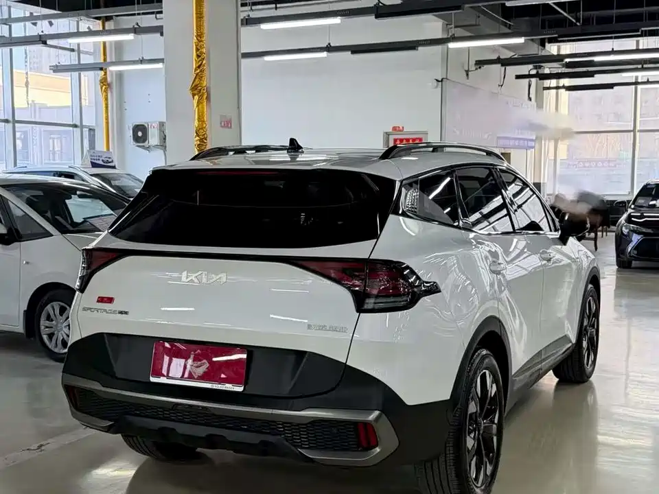 Kia Lion Platinum expands the world