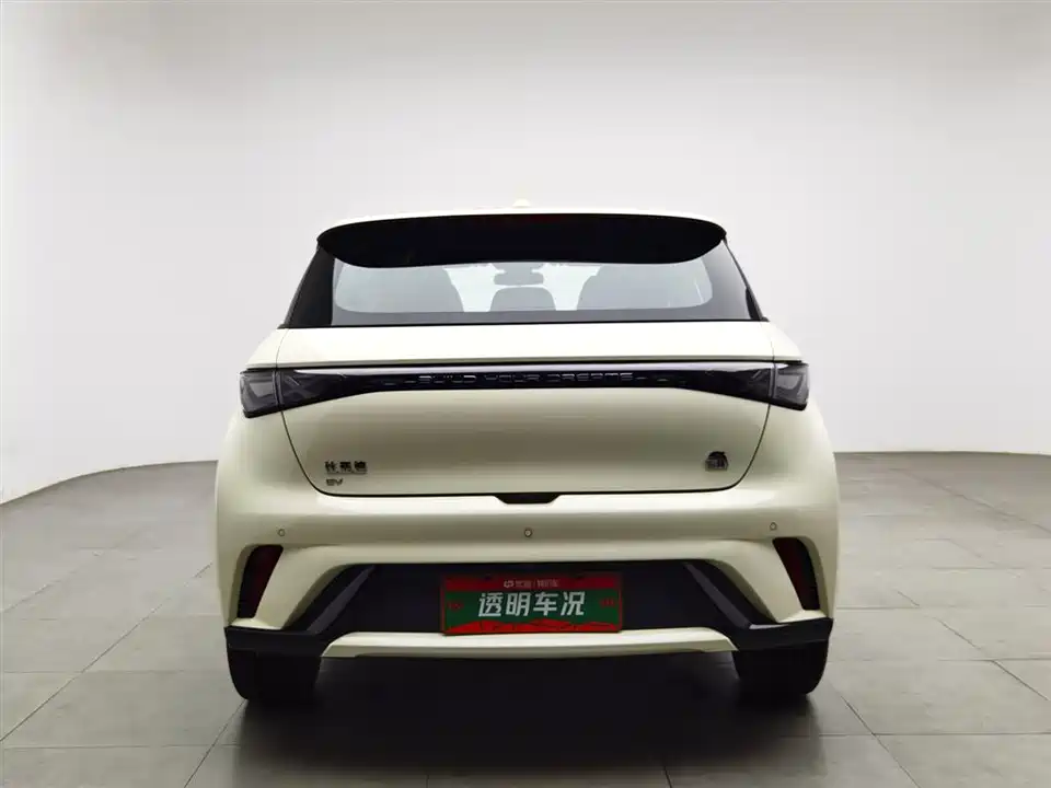 BYD dolphin