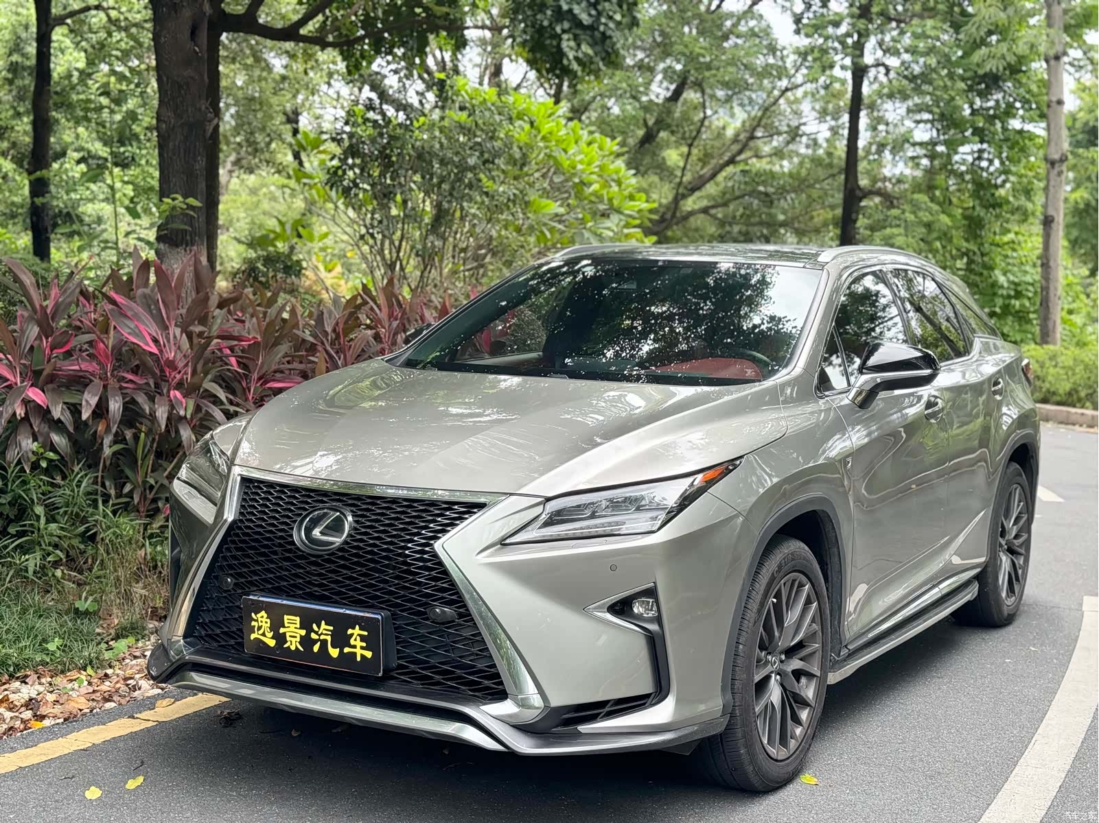 Lexus RX, 2016 1