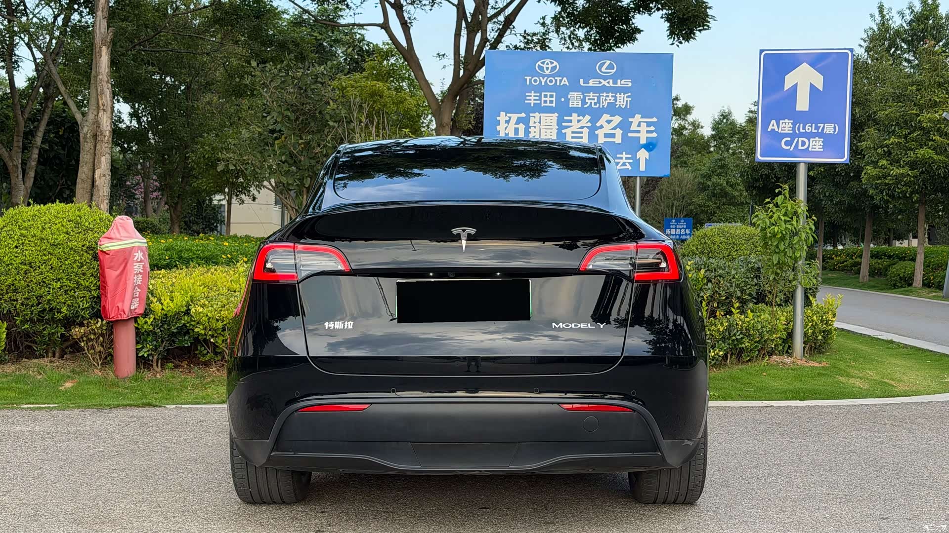 Tesla Model Y, 2023 все фото
