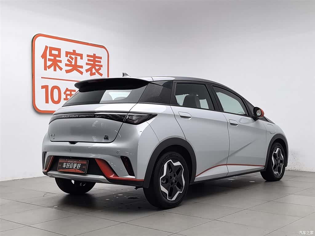 BYD Dolphin, 2022 2