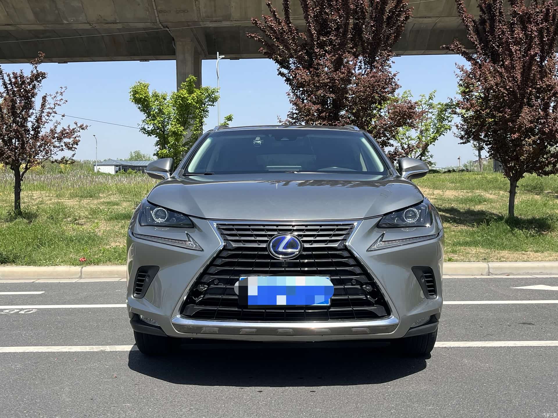Lexus NX, 2020 3