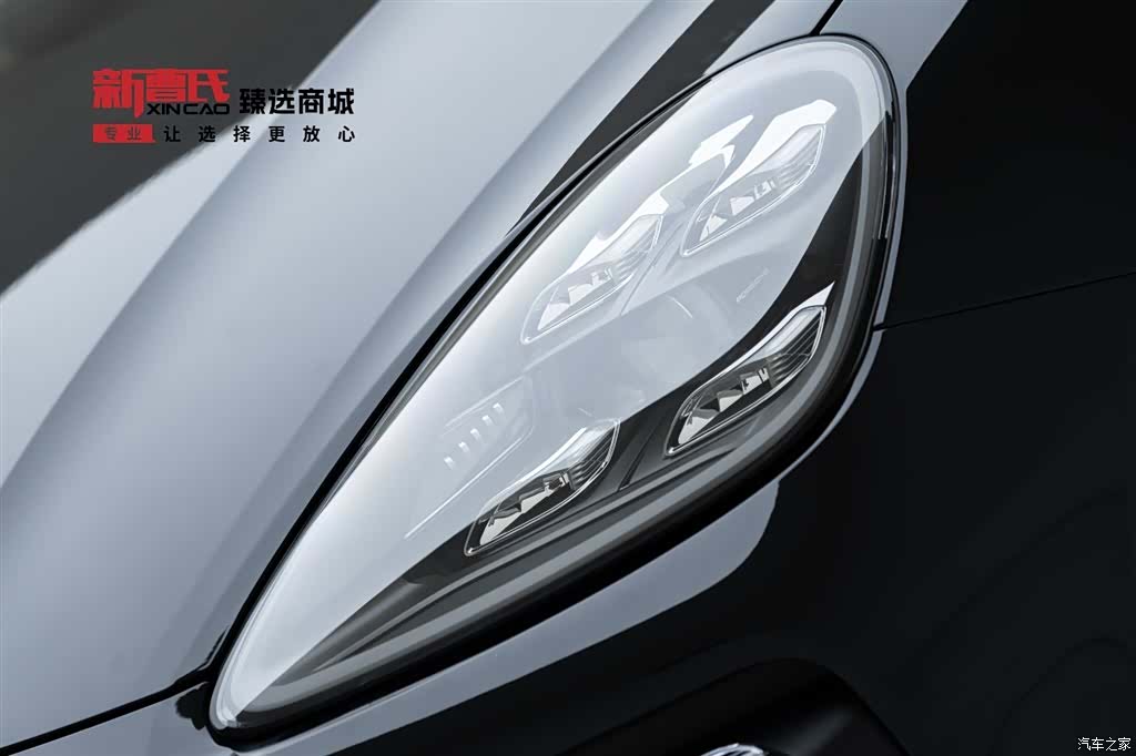 Porsche Cayenne, 2022 все фото