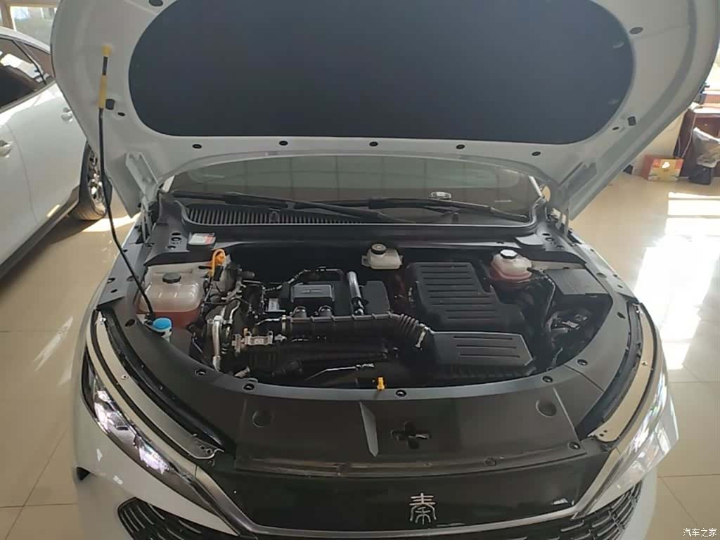 BYD Qin, 2024 20