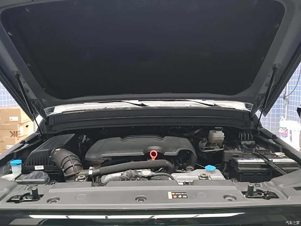 Tank 300, 2023 20