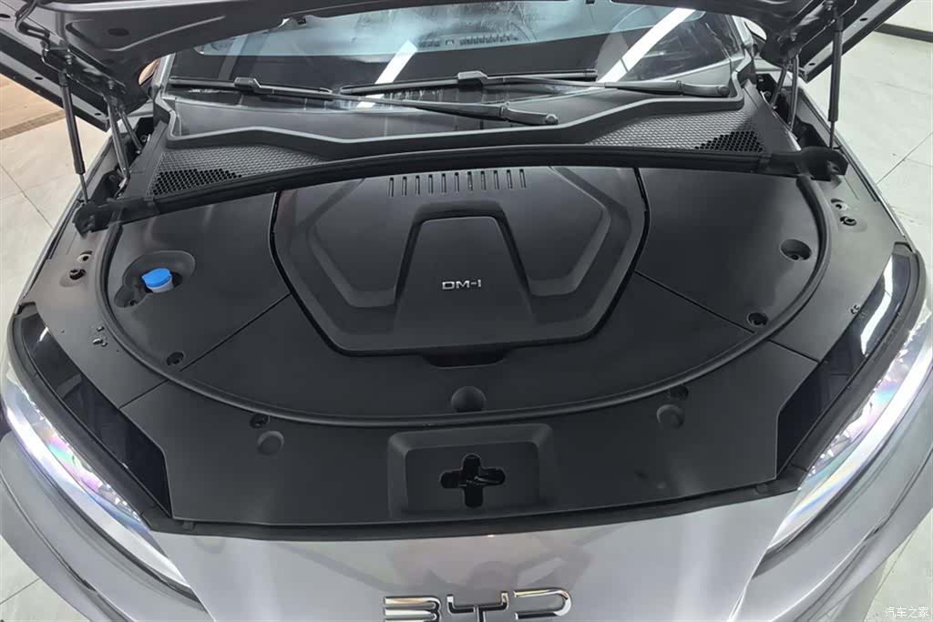 BYD Song, 2024 10