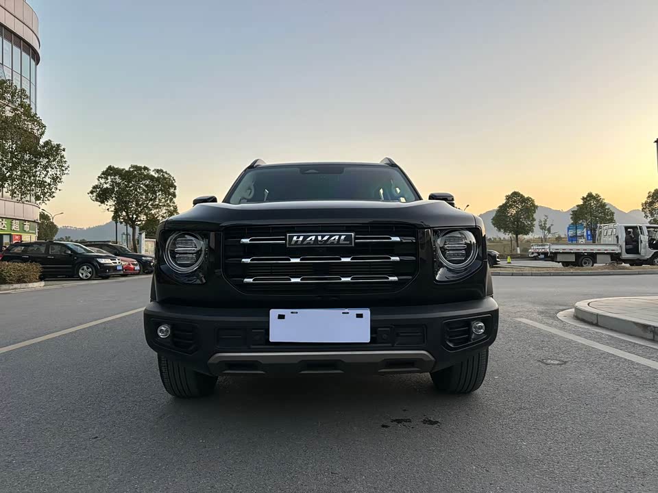 Haval Big dog