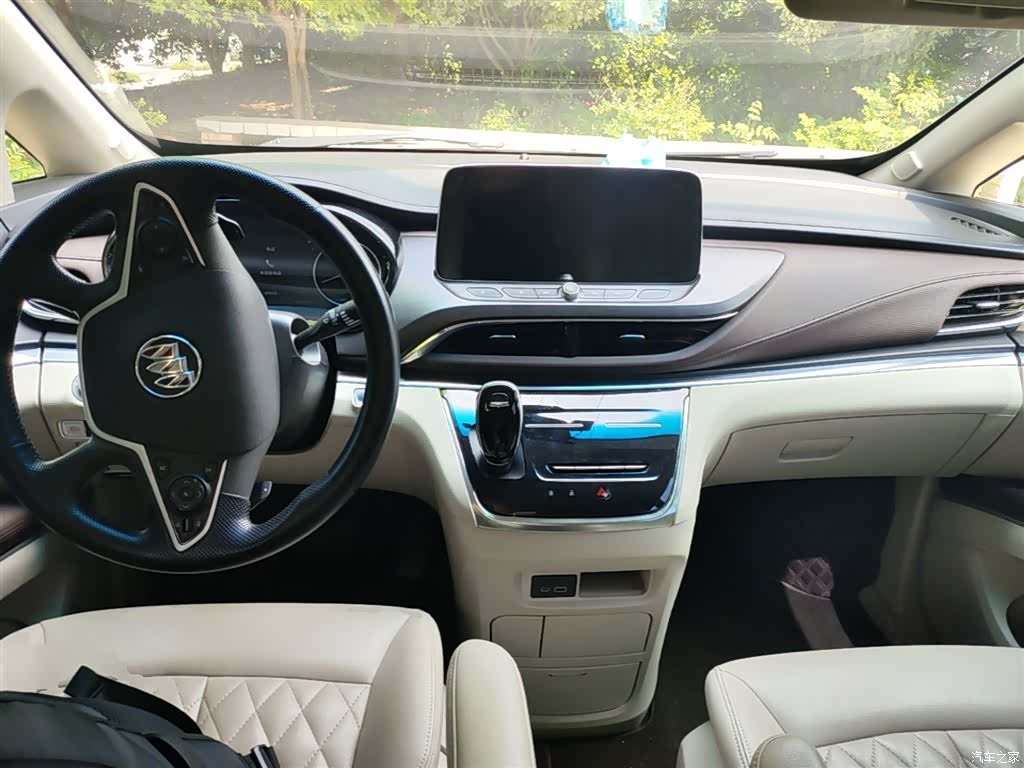 Buick GL8, 2024 10