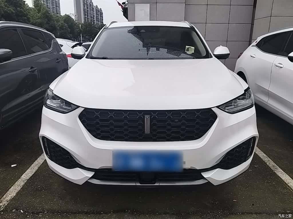 WEY VV6, 2019 3