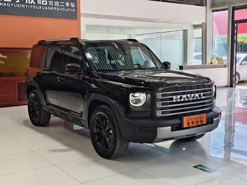 Haval Raptors