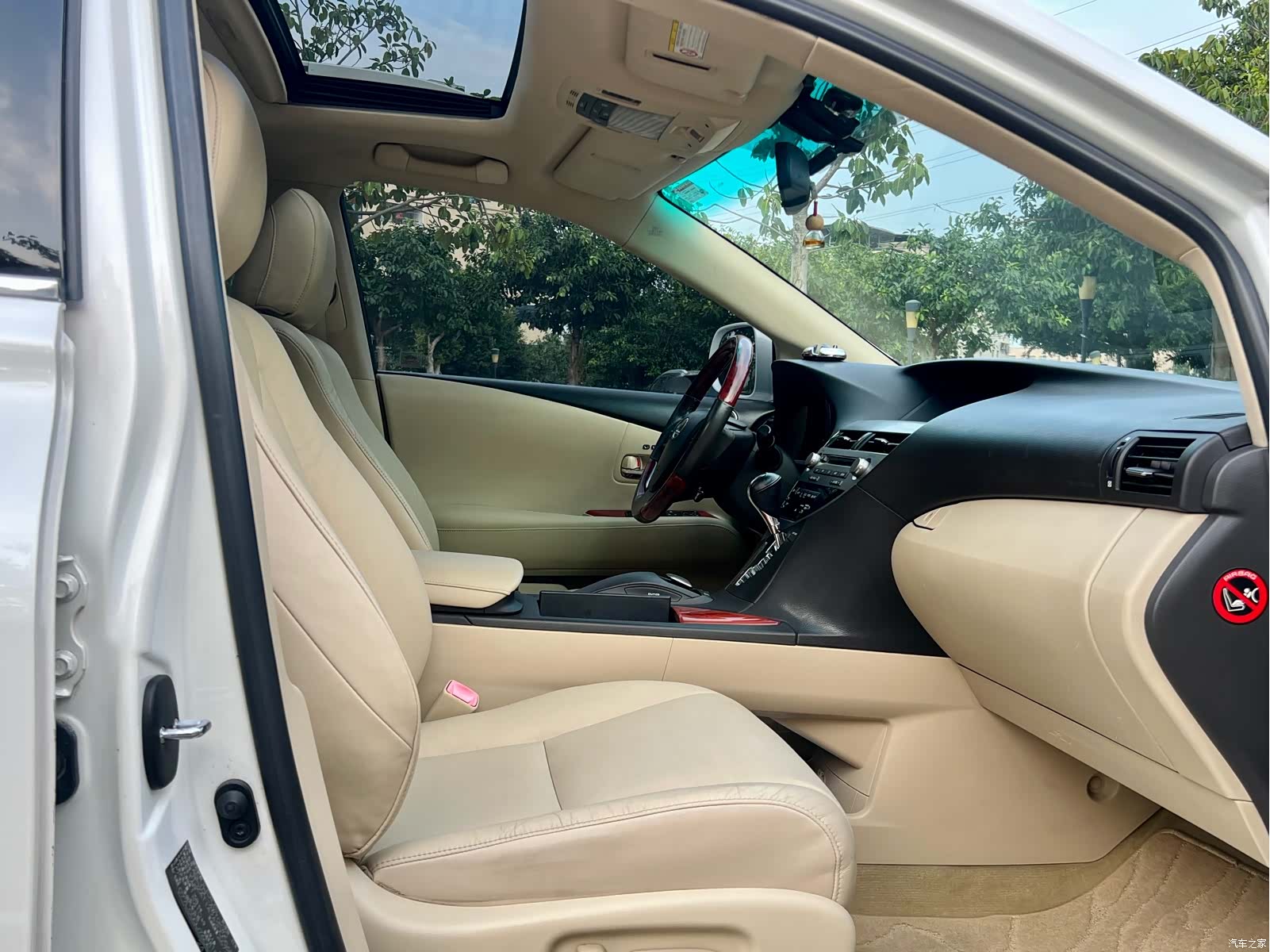 Lexus RX, 2010 10