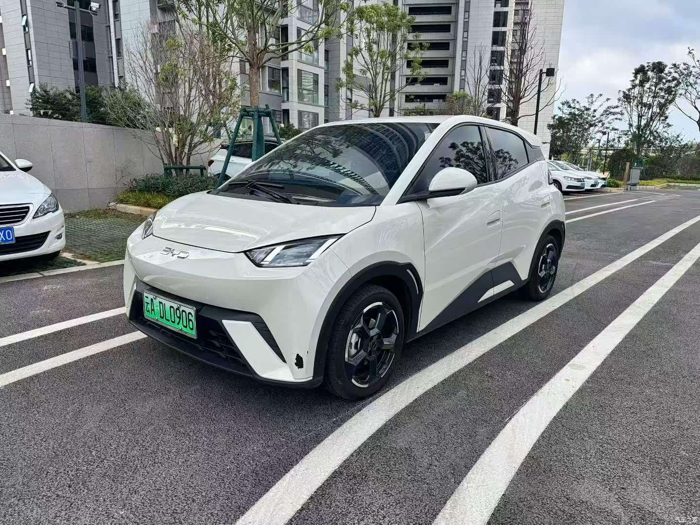 BYD Seagull, 2023 1