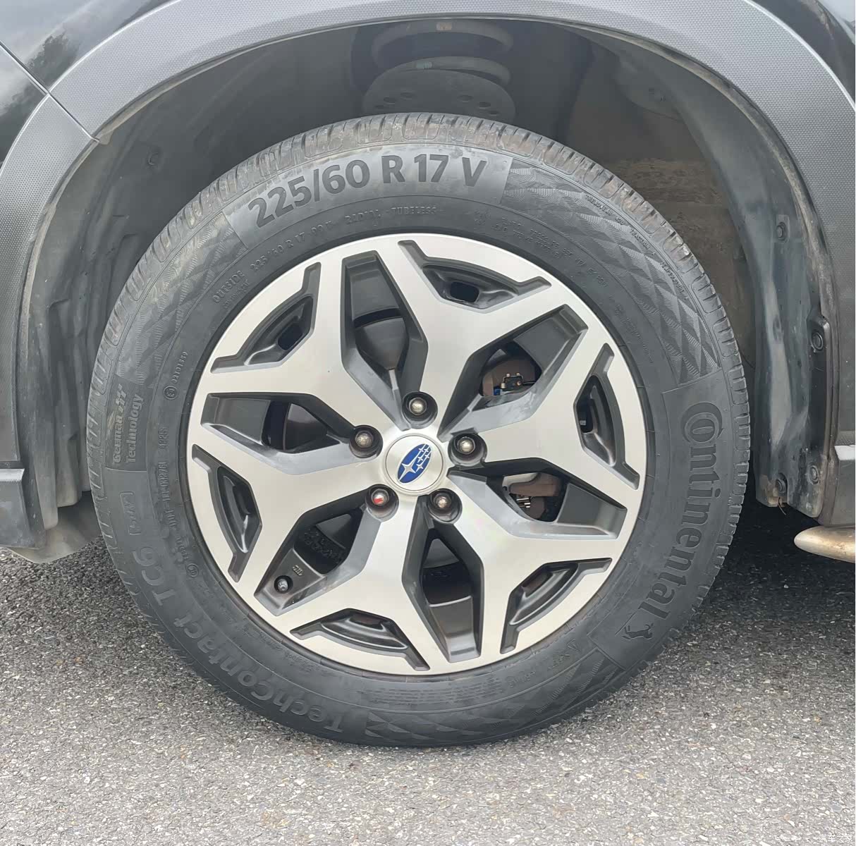 Subaru Forester, 2019 11