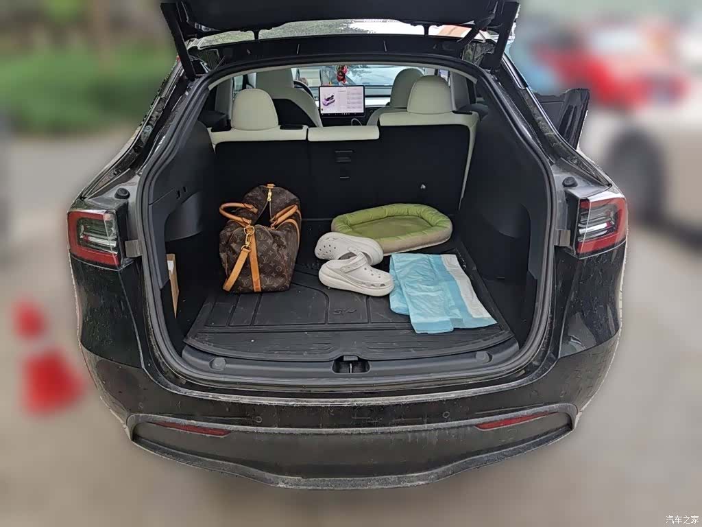 Tesla Model Y, 2022 10