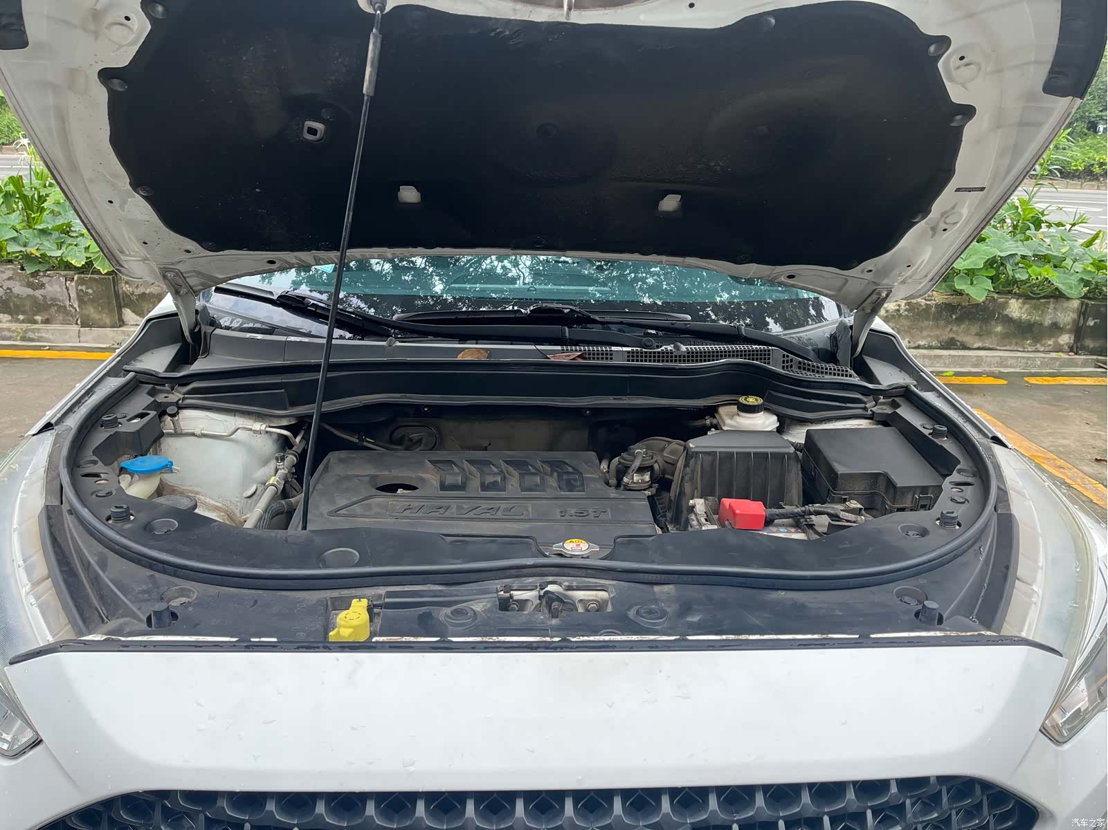Haval M6, 2019 4