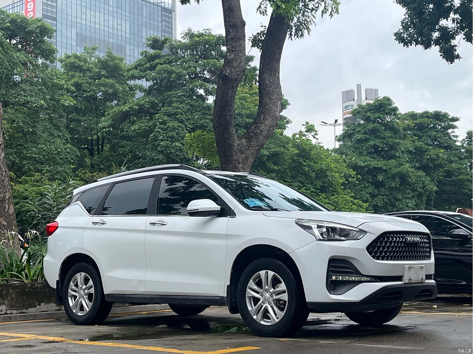 Haval M6, 2019 3