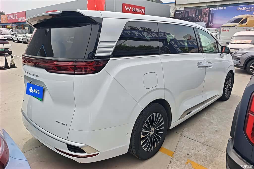 Denza D9, 2024 3
