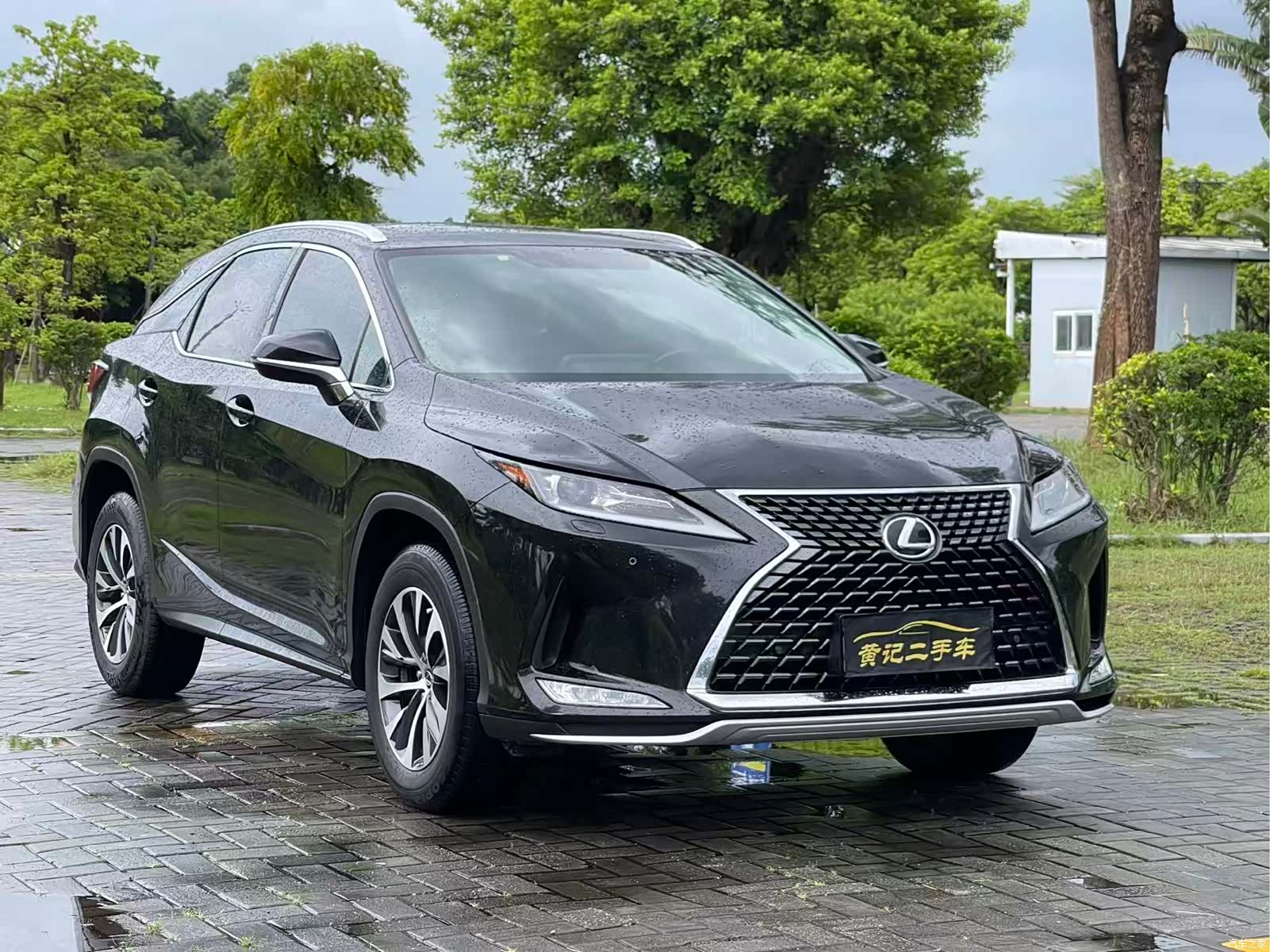 Lexus RX, 2020 3