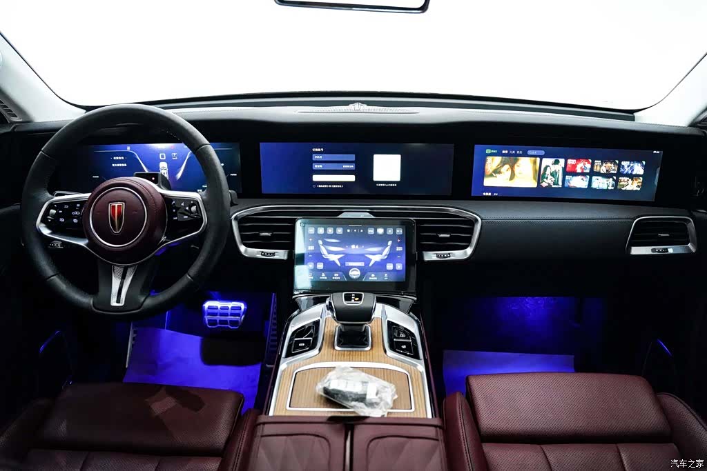 Hongqi E-HS9, 2023 14