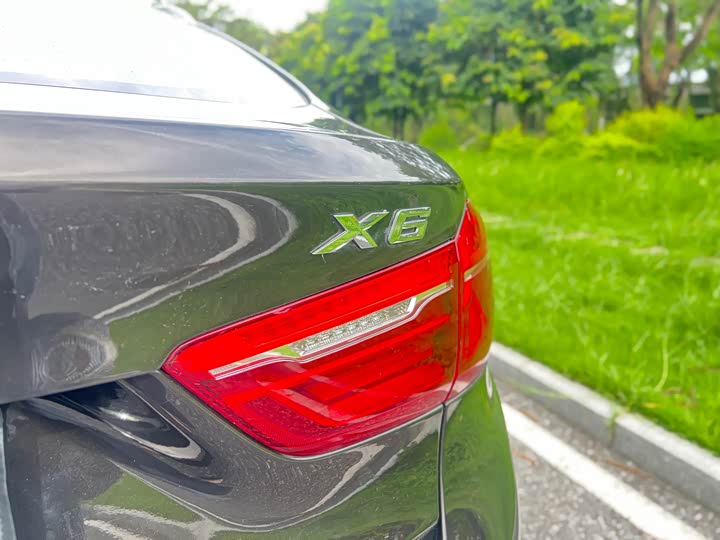 BMW X6 2015 xDrive35i Leading