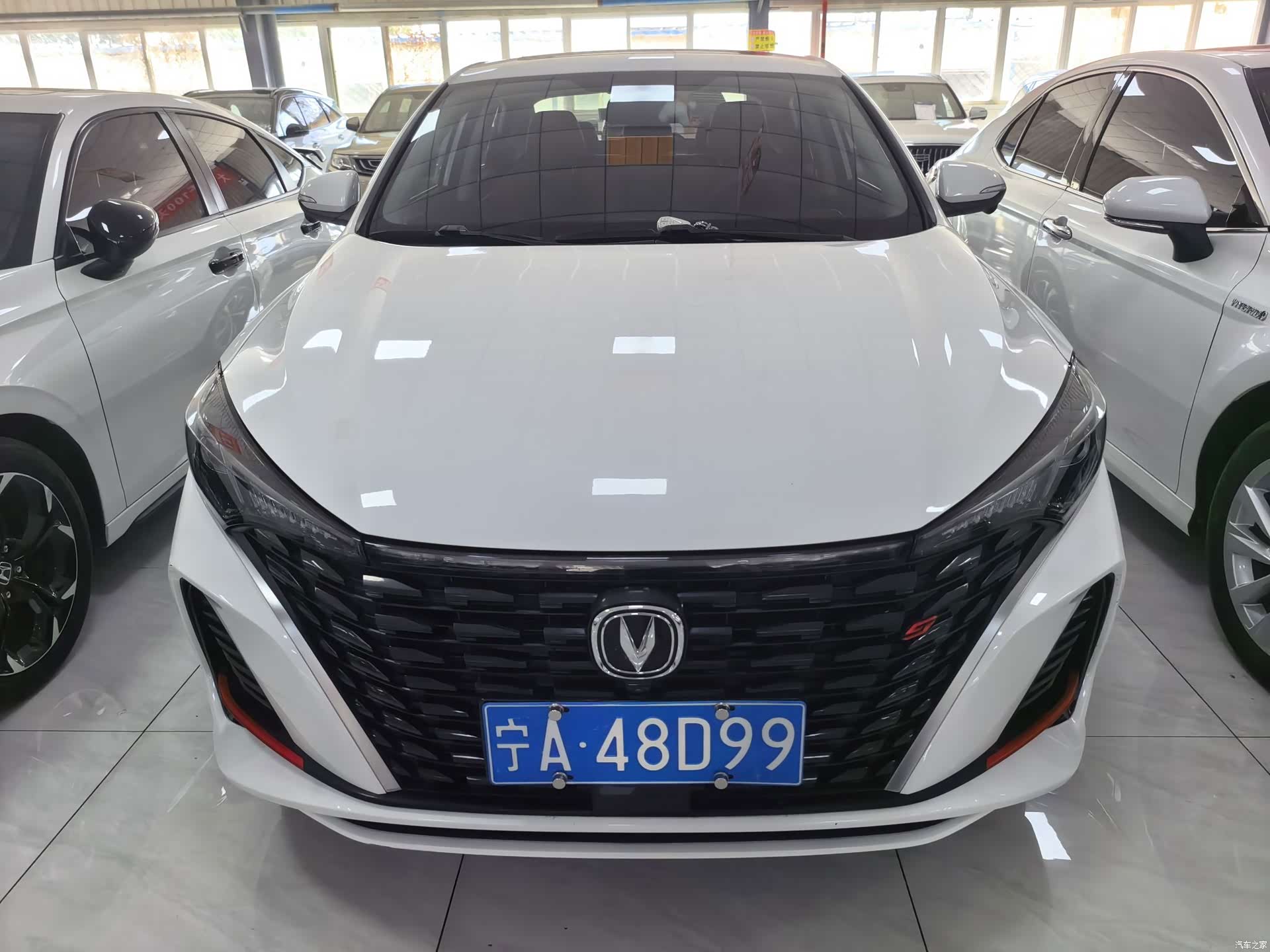 Changan Eado, 2023 2
