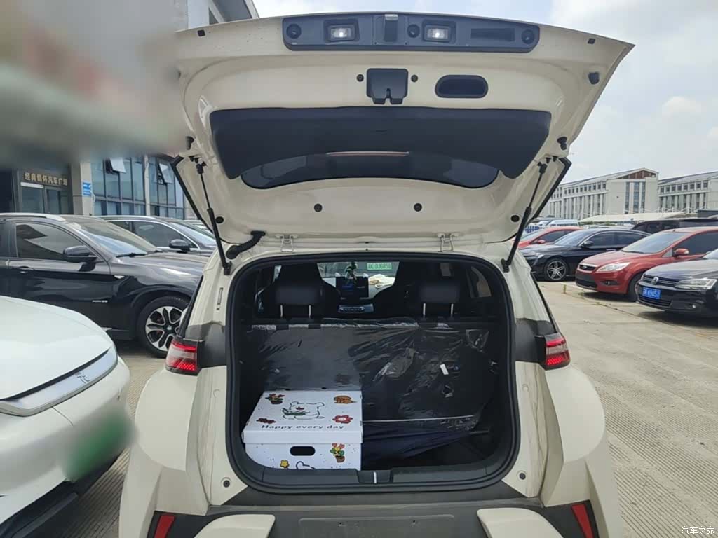 BYD Seagull, 2025 19