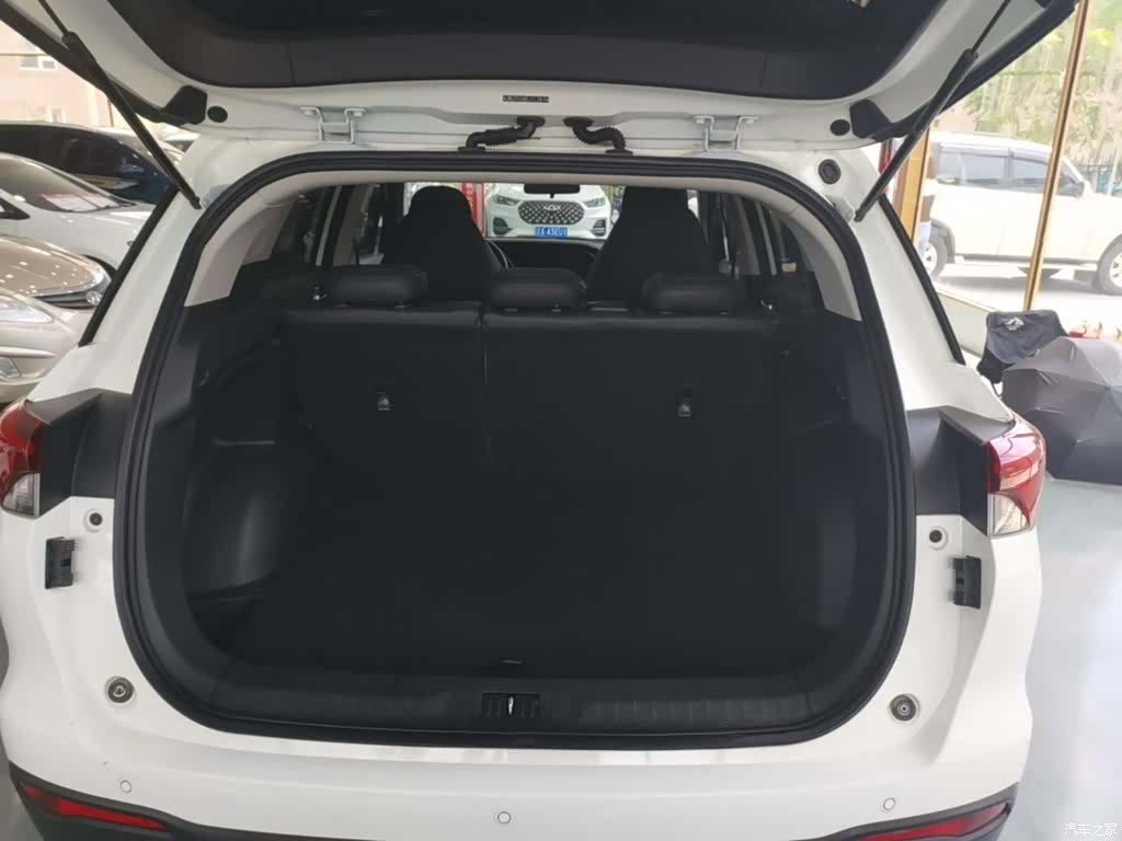 GAC GS4, 2020 19