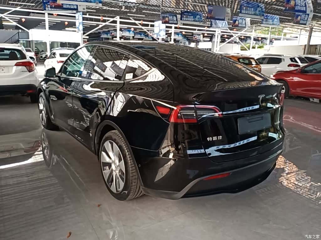 Tesla Model Y, 2023 все фото
