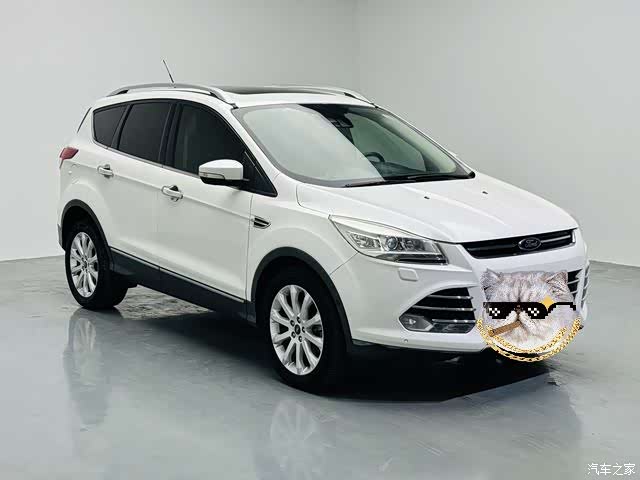 Ford Kuga, 2015 3