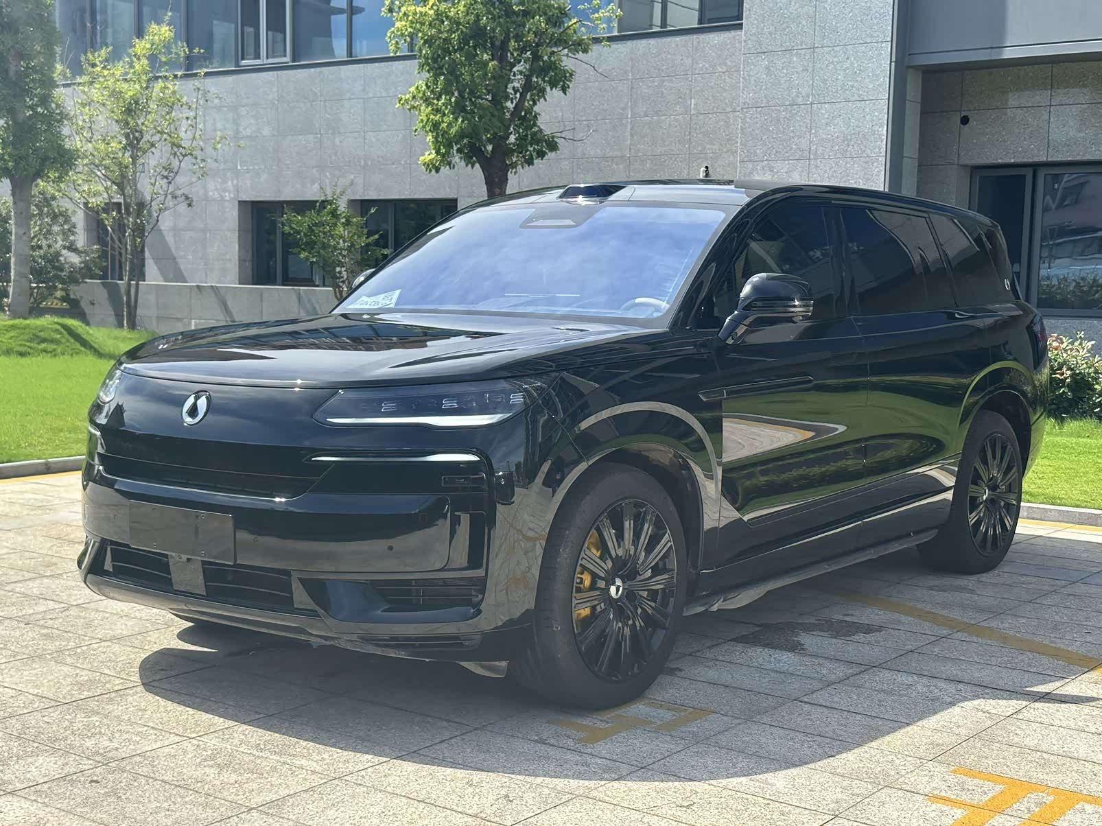 Denza N9