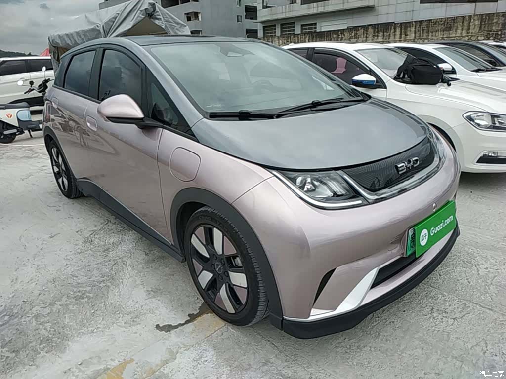 BYD Dolphin, 2021 4