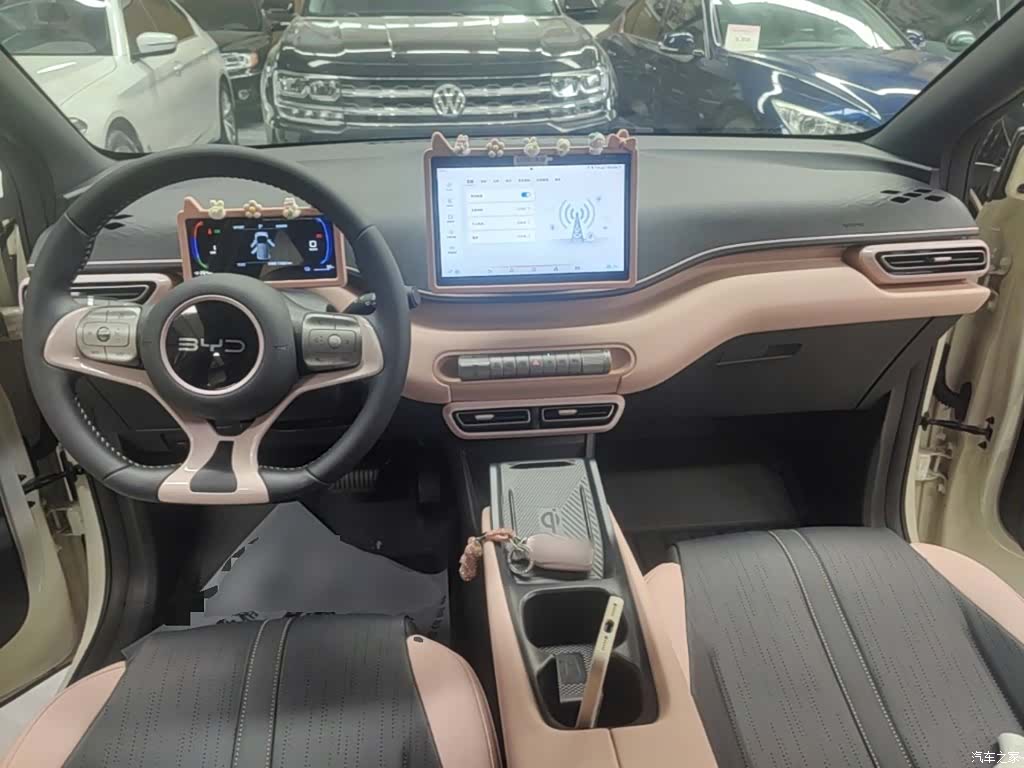 BYD Seagull, 2025 10