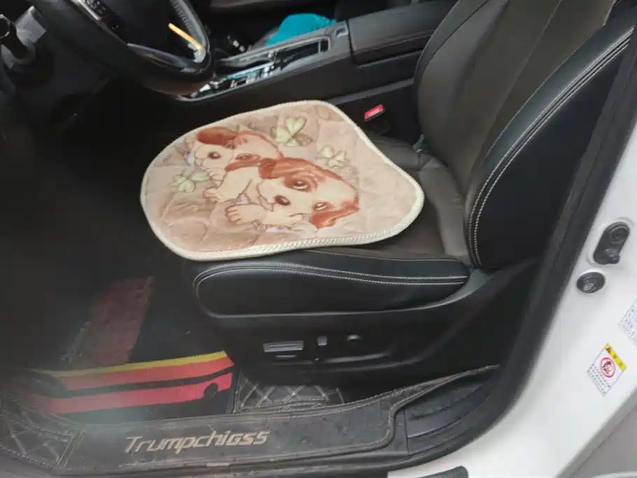 Trumpchi Trumpchi GS5