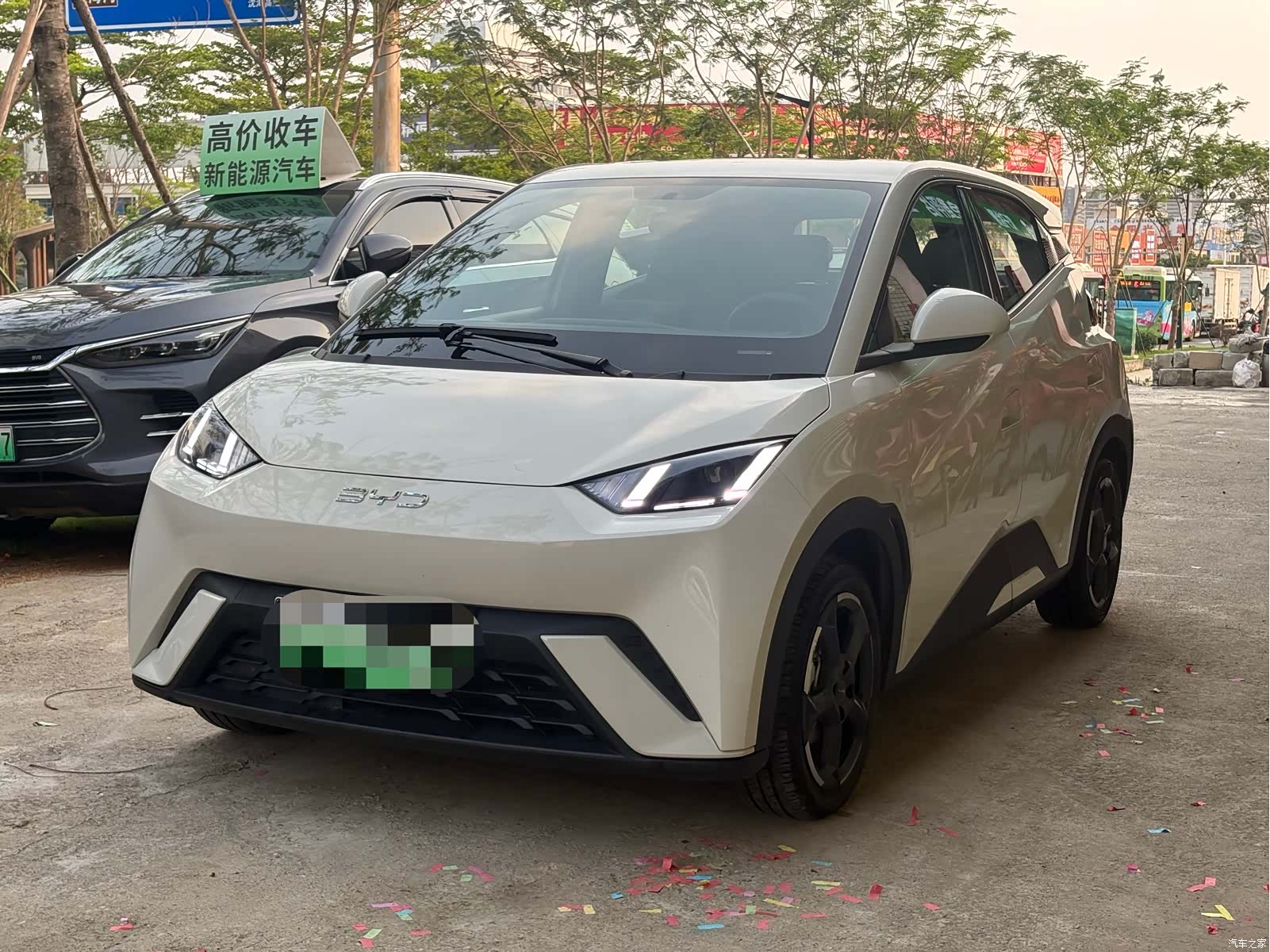 BYD Seagull, 2023 1