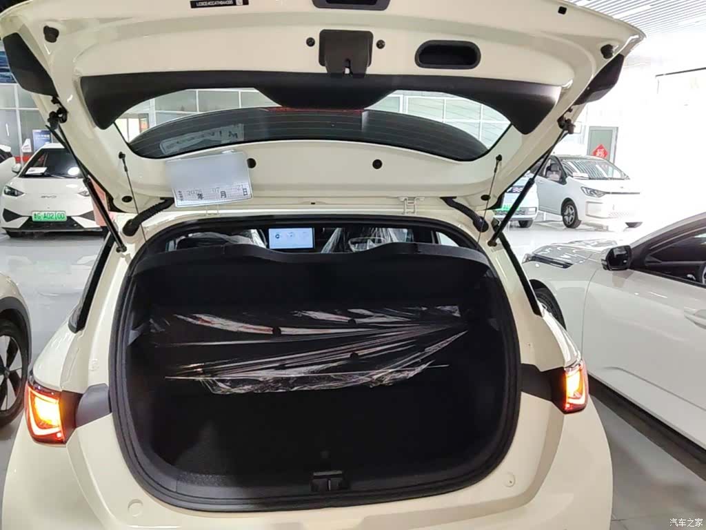 BYD Dolphin, 2026 19