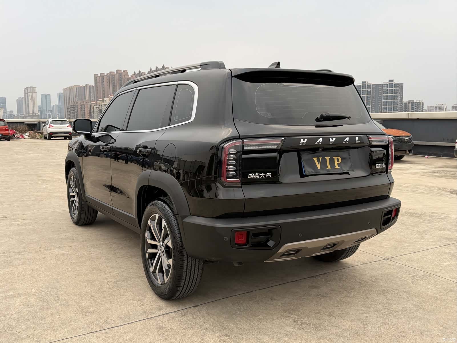 Haval Big Dog, 2021 19