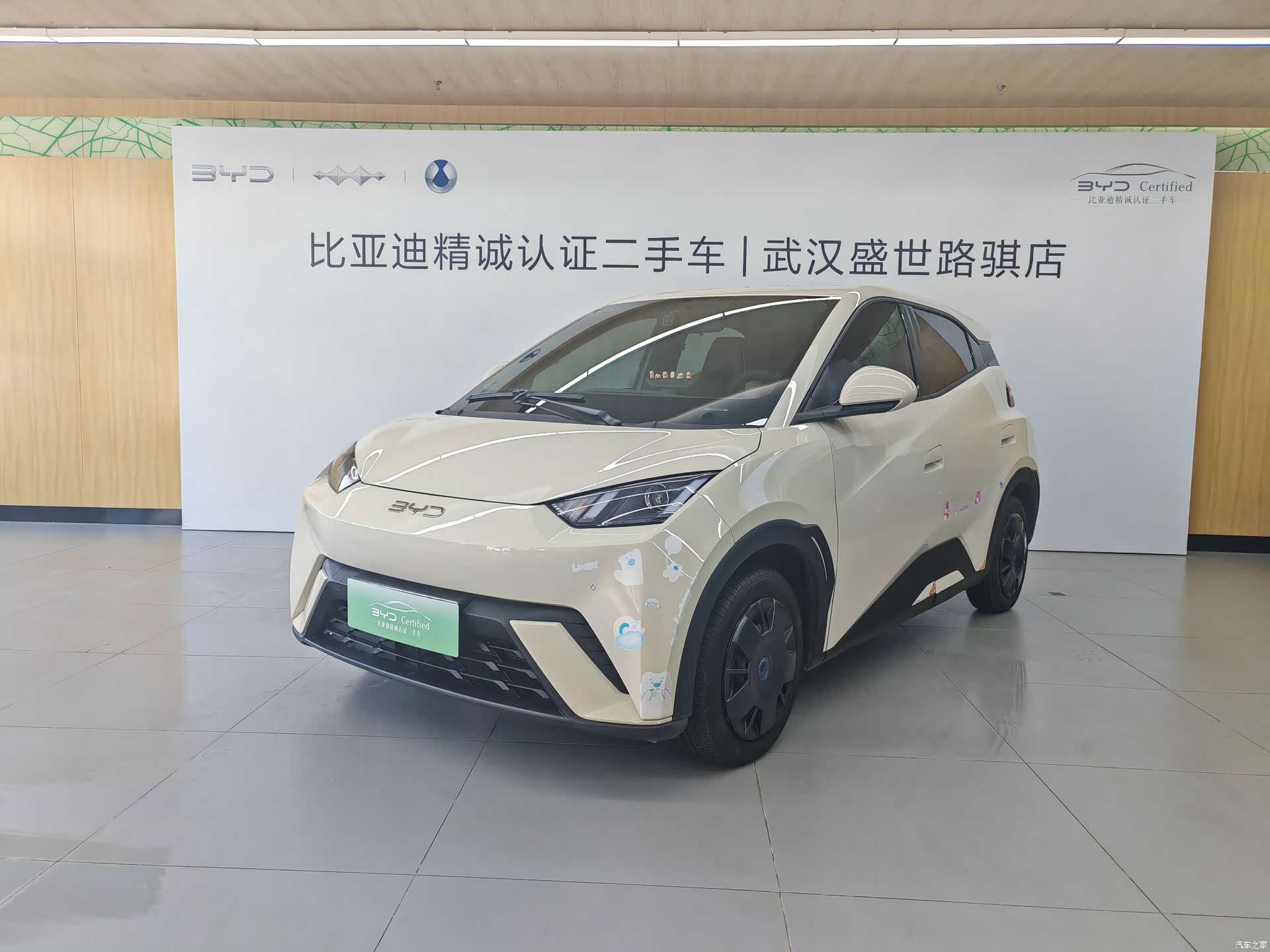 BYD Seagull, 2024 1