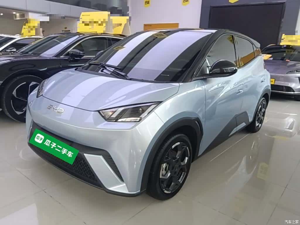 BYD Seagull, 2024 1
