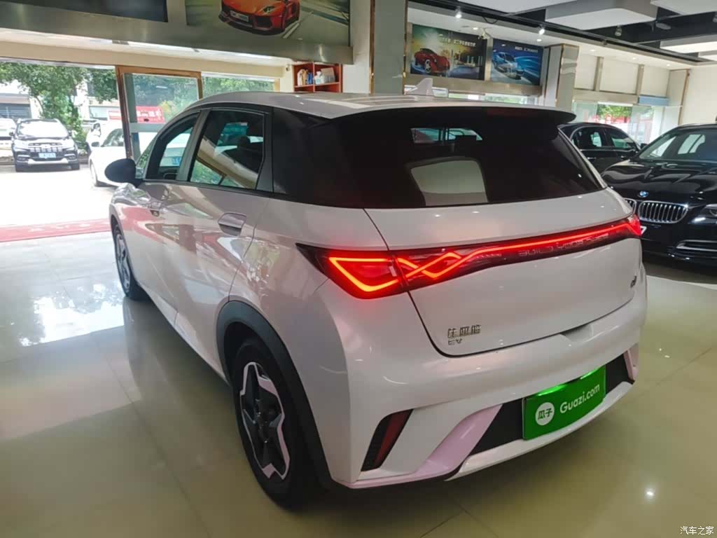 BYD Dolphin, 2022 все фото