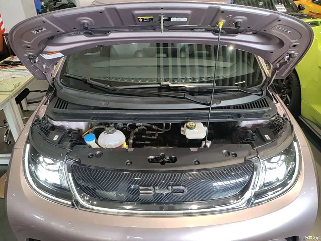 BYD Dolphin, 2024 20
